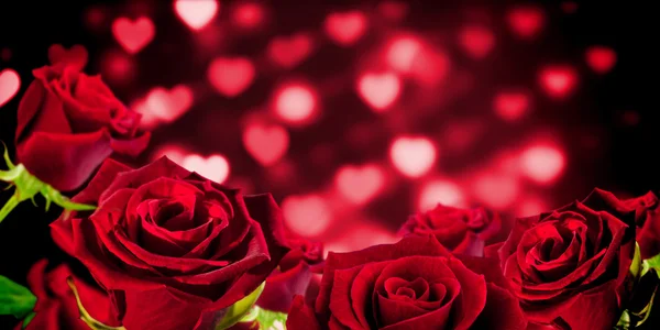Rose tegen valentines harten patroon — Stockfoto