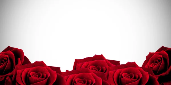 Röda rosor med vinjett — Stockfoto