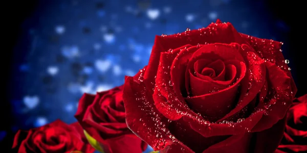 Rose gegen Valentinsherz-Design — Stockfoto