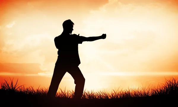 Bonito homem fazendo tai chi — Fotografia de Stock