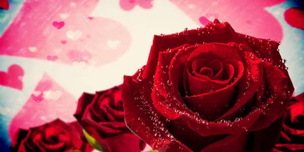 Rose tegen valentines hart ontwerp — Stockfoto