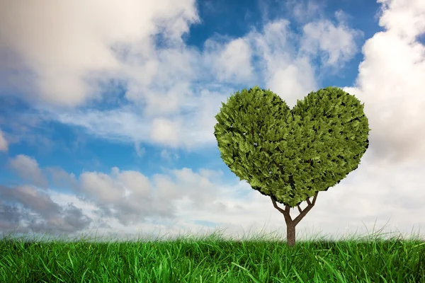 Yeşil çim karşı bitki kalp şeklinde — Stok fotoğraf