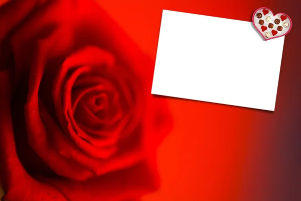 Blurred red rose against white card — Stock Photo, Image