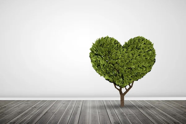 Heart shaped plant against grey room — Stock Photo, Image