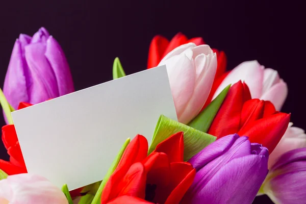 Bunch of tulips and white card — Stock Photo, Image