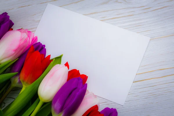 Colorful tulips and white card — Stock Photo, Image