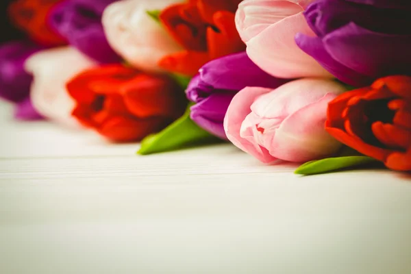 Närbild på färgglada tulpaner — Stockfoto