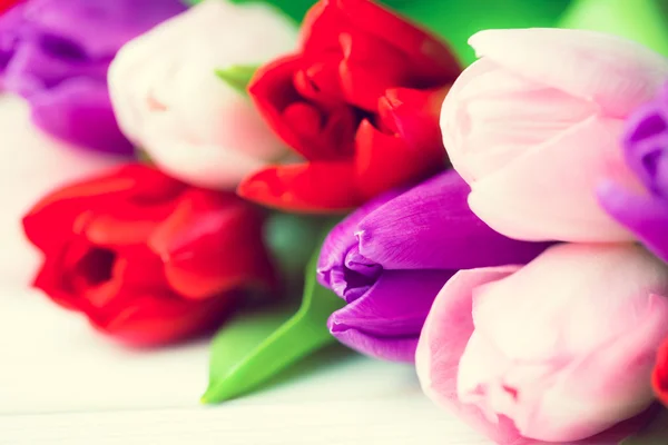 Close up de tulipas coloridas — Fotografia de Stock