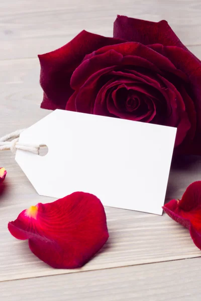 Rose petals and white card — Stock Photo, Image