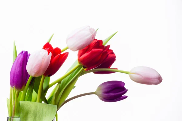 Bunch of tulips in vase — Stock Photo, Image