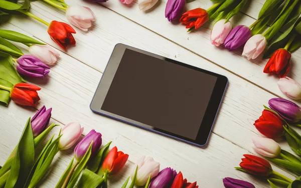 Tulpen vormen frame — Stockfoto