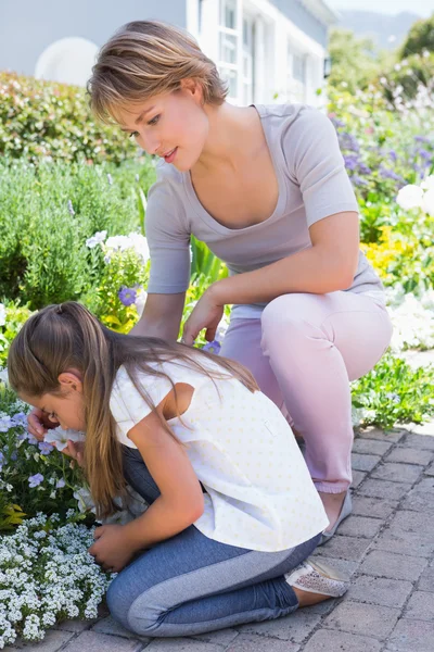 Mother and daughter tending to flowers — Stock Photo, Image