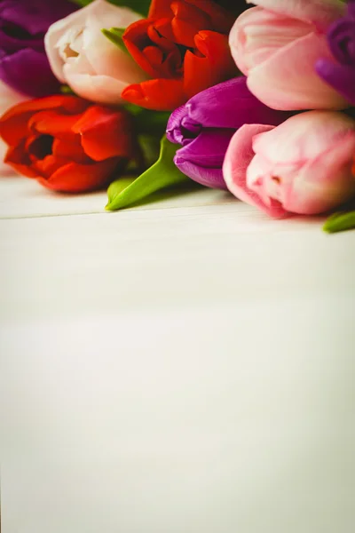 Nahaufnahme bunter Tulpen — Stockfoto