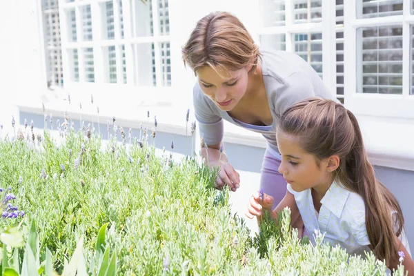 Mère et fille tendant aux fleurs — Photo