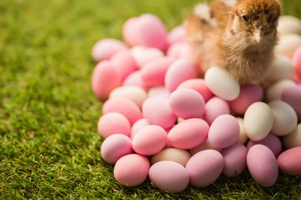 Poupée farcie aux oeufs de Pâques — Photo