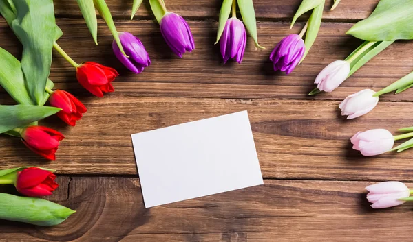 Tulipanes formando marco alrededor de la tarjeta blanca —  Fotos de Stock