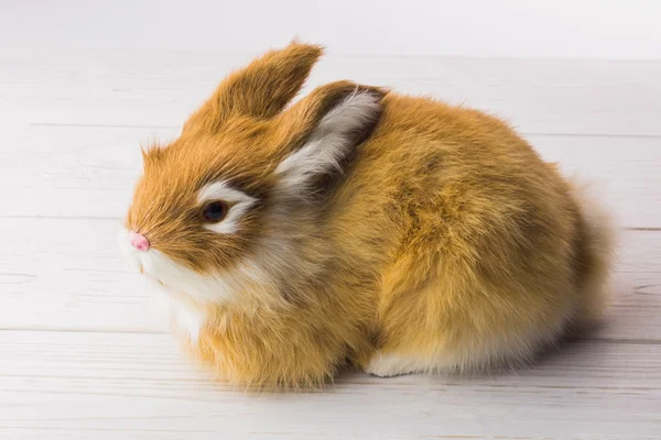 Ingefära kanin kanin — Stockfoto
