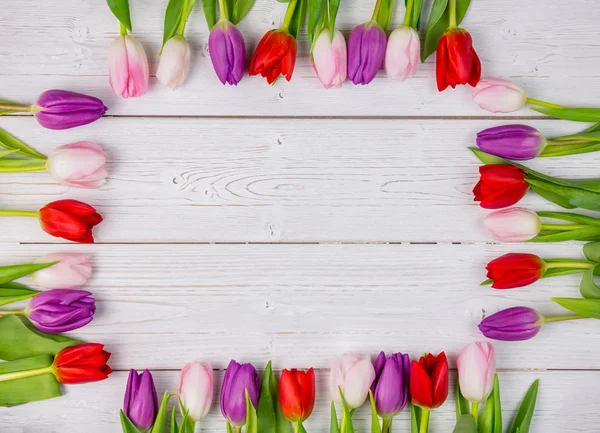 Tulipaner danner ramme – stockfoto