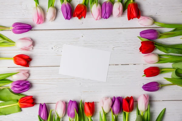 Tulips forming frame — Stock Photo, Image