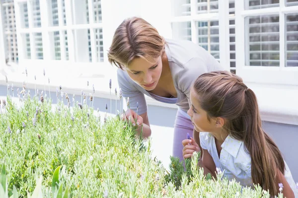 Mother and daughter tending to flowers — Stock Photo, Image