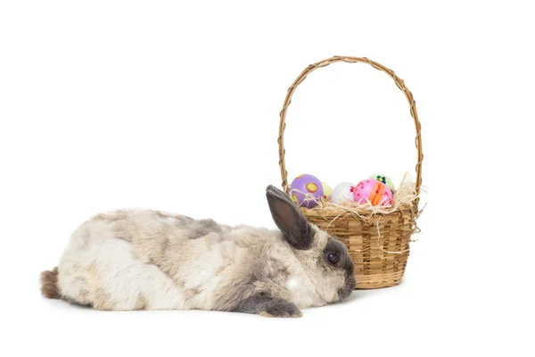 提着篮子的复活节彩蛋的兔子 — 图库照片