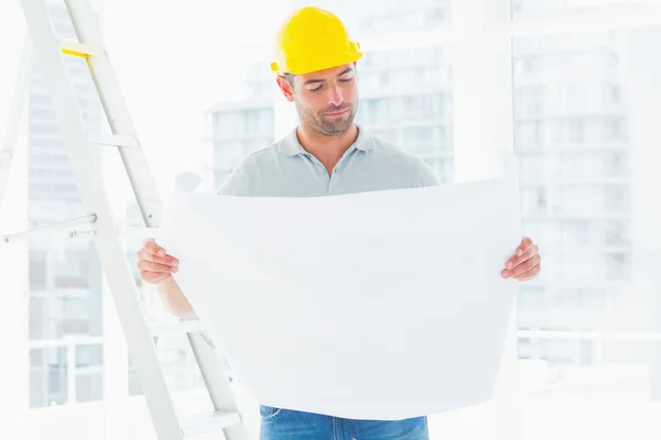 Male architect reading blueprint in office — Stock Photo, Image