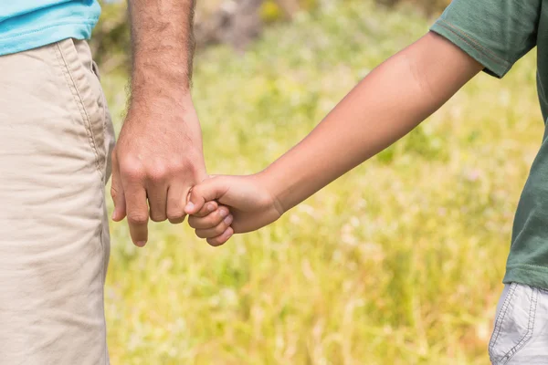 Pai e filho no campo — Fotografia de Stock