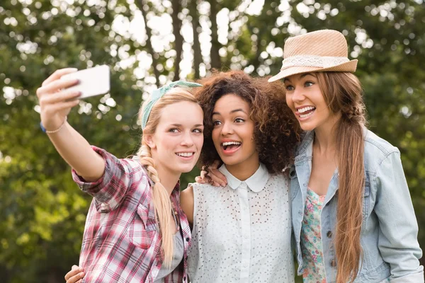 Amici felici nel parco prendendo selfie — Foto Stock