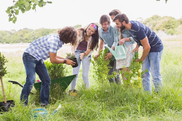 Amigos felices jardinería para la comunidad —  Fotos de Stock