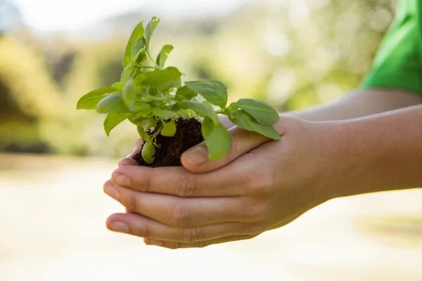 Milieu-activist tonen een plant — Stockfoto