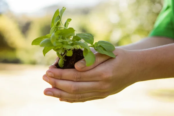 Ativista ambiental mostrando uma planta — Fotografia de Stock