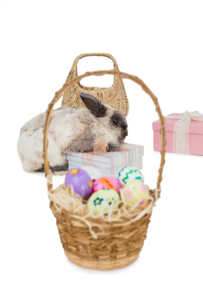 Easter bunny with gift boxes — Stock Photo, Image