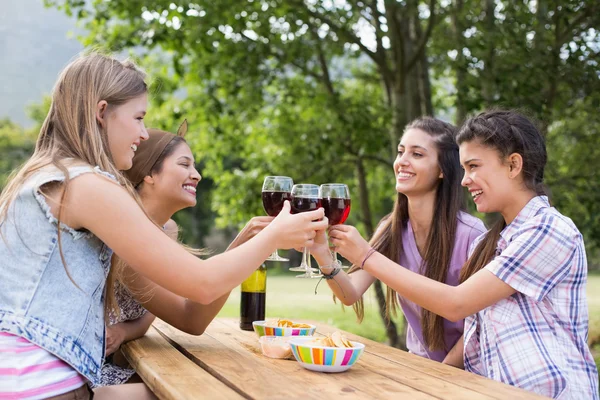 Счастливые друзья в парке пьют вино — стоковое фото
