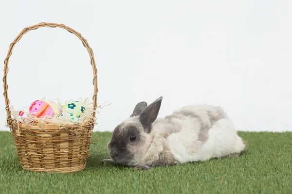 Easter rabbit with basket of eggs — Stock Photo, Image