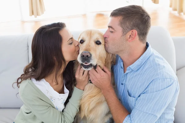 Pareja besándose Golden Retriever en sofá — Foto de Stock