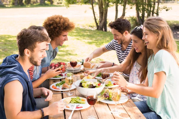 Amigos felices en el parque almorzando —  Fotos de Stock