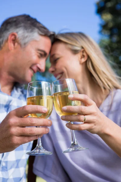 Couple relaxing in the park with wine — Stock Photo, Image