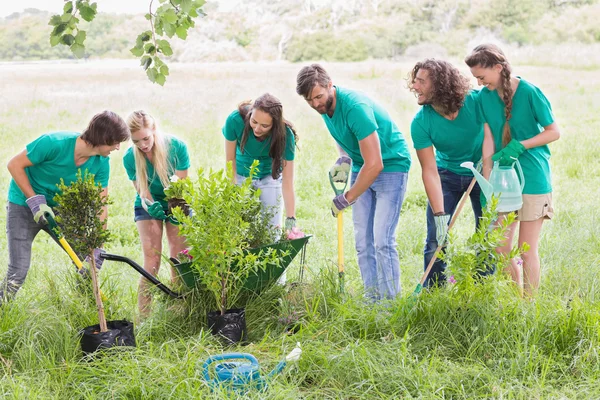 Amigos felices jardinería para la comunidad —  Fotos de Stock