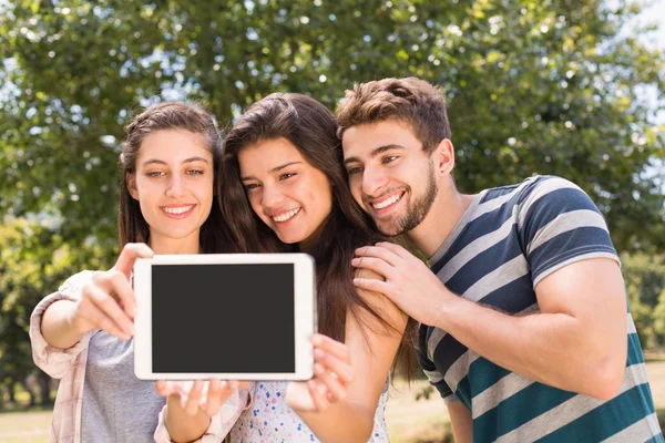 Glückliche Freunde im Park machen Selfie — Stockfoto