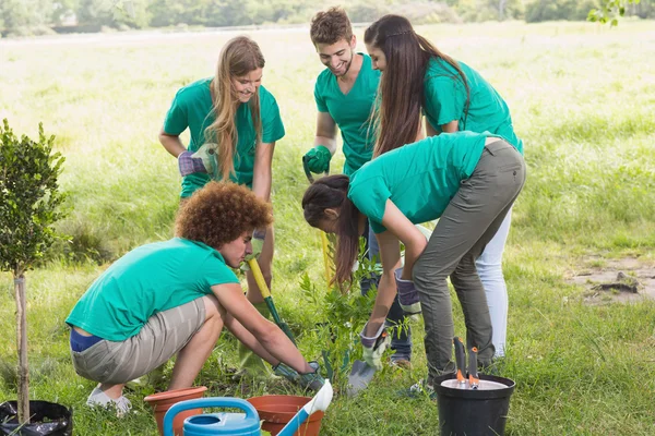 Glückliche Freunde gärtnern für die Gemeinschaft — Stockfoto