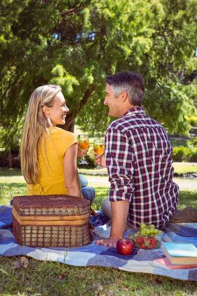 Casal fazendo piquenique no parque — Fotografia de Stock