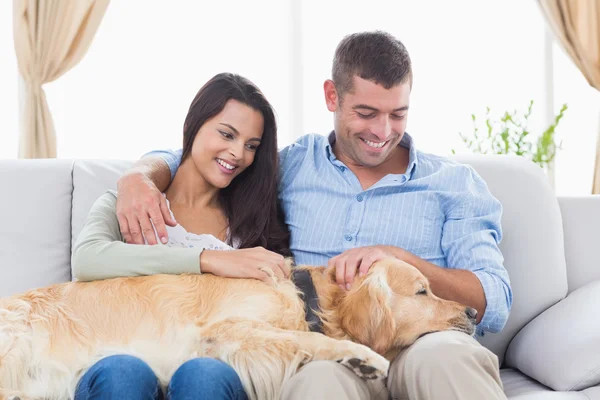 Pareja acariciando Golden Retriever en sofá — Foto de Stock