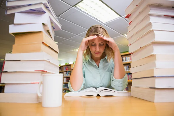 Jolie étudiante étudiant à la bibliothèque — Photo