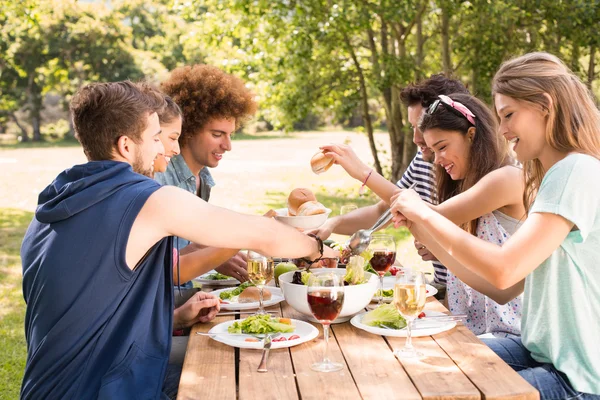 Happy friends in the park having lunch — Stock Photo, Image