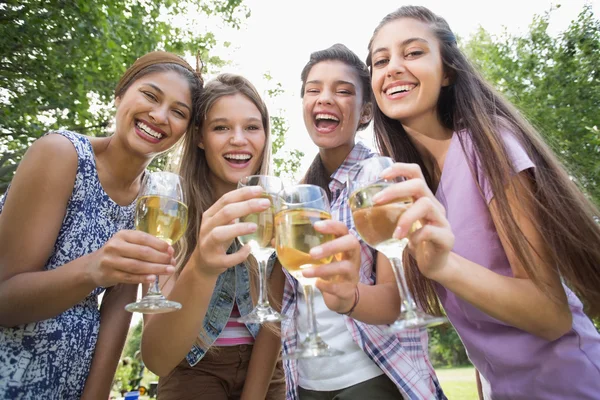 Счастливые друзья в парке пьют вино — стоковое фото