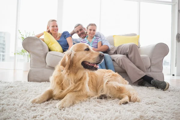 Golden Retriever com a família em casa — Fotografia de Stock