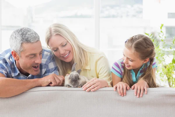 Família brincando com coelho no sofá — Fotografia de Stock