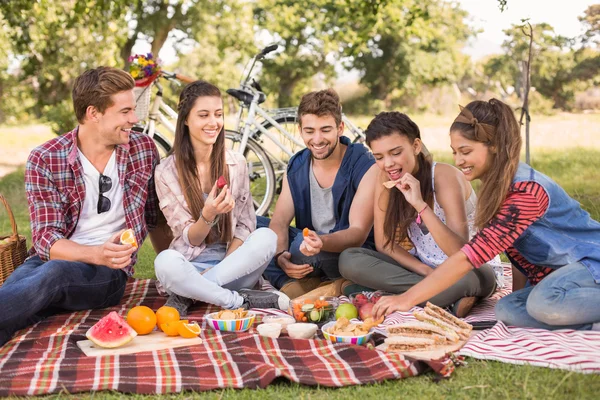 Amigos felizes no parque fazendo piquenique — Fotografia de Stock