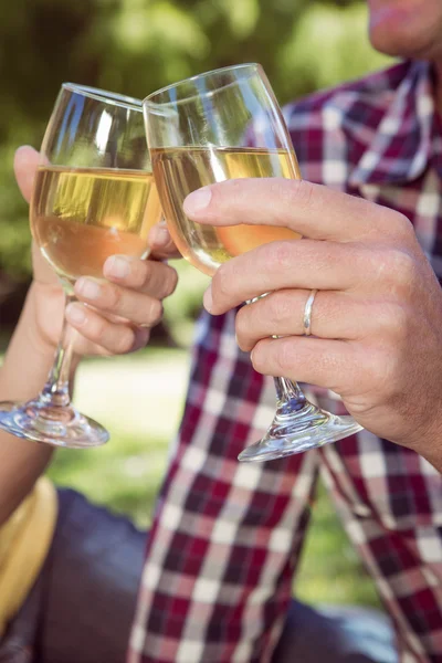 Coppia che beve vino nel parco — Foto Stock