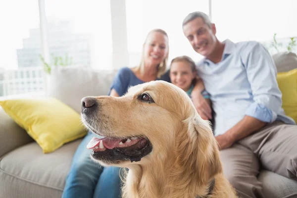 Golden Retriever con la famiglia a casa — Foto Stock